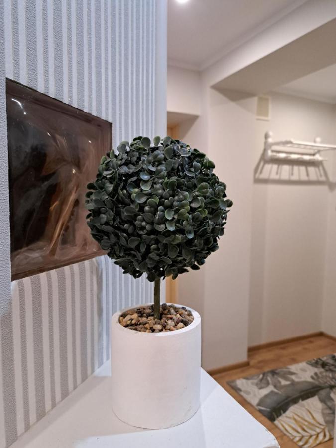 Mokka Apartment *